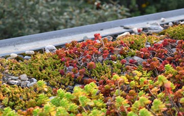 the cost of Padanaram green roof installation
