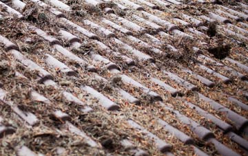 Padanaram roof cleaning companies