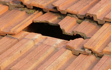 roof repair Padanaram, Angus